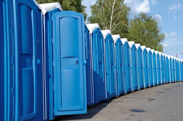 Best Portable bathroom rental  in Morrice, MI
